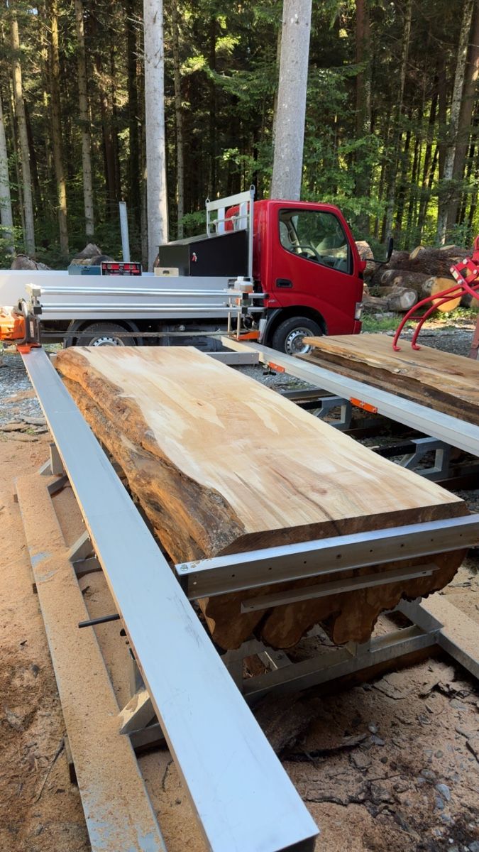 Holzartikel: Schweizer Feldahorn Bohlen – Neu (gemäss Beschreibung) aus Horn von joe_mb2d 2