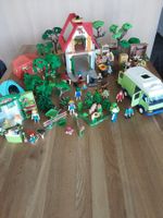 Playmobil kleiner Bauernhof