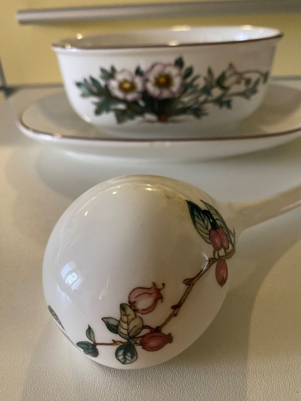 Villeroy & Boch Set di piatti: Sausiere Villory Boch Botanica – Usato da Russikon venduto da Honolulu-2019 2