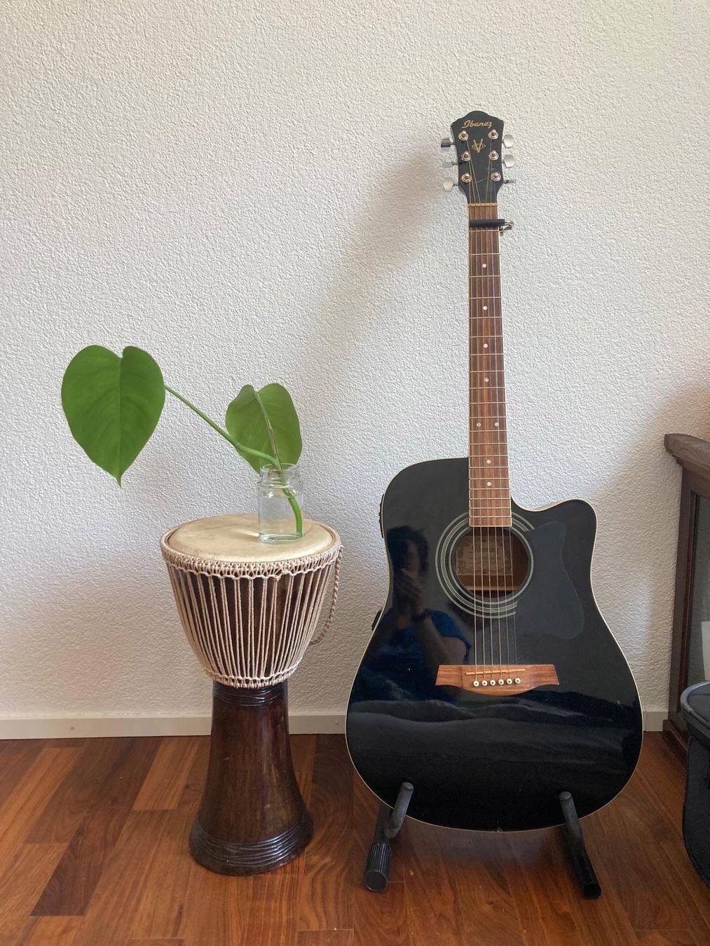 Piante & sementi: Monstera deliciosa, Ableger – gesund & wunderschön – Nuovo (secondo la descrizione) da Chur venduto da cle_njq7