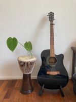 Monstera deliciosa, Ableger – gesund & wunderschön