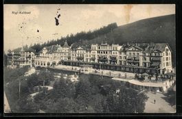 AK Rigi-Kaltbad, Partie am Wald, 1912