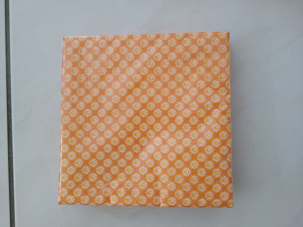 Student Servetter 33x33 cm 16-pack