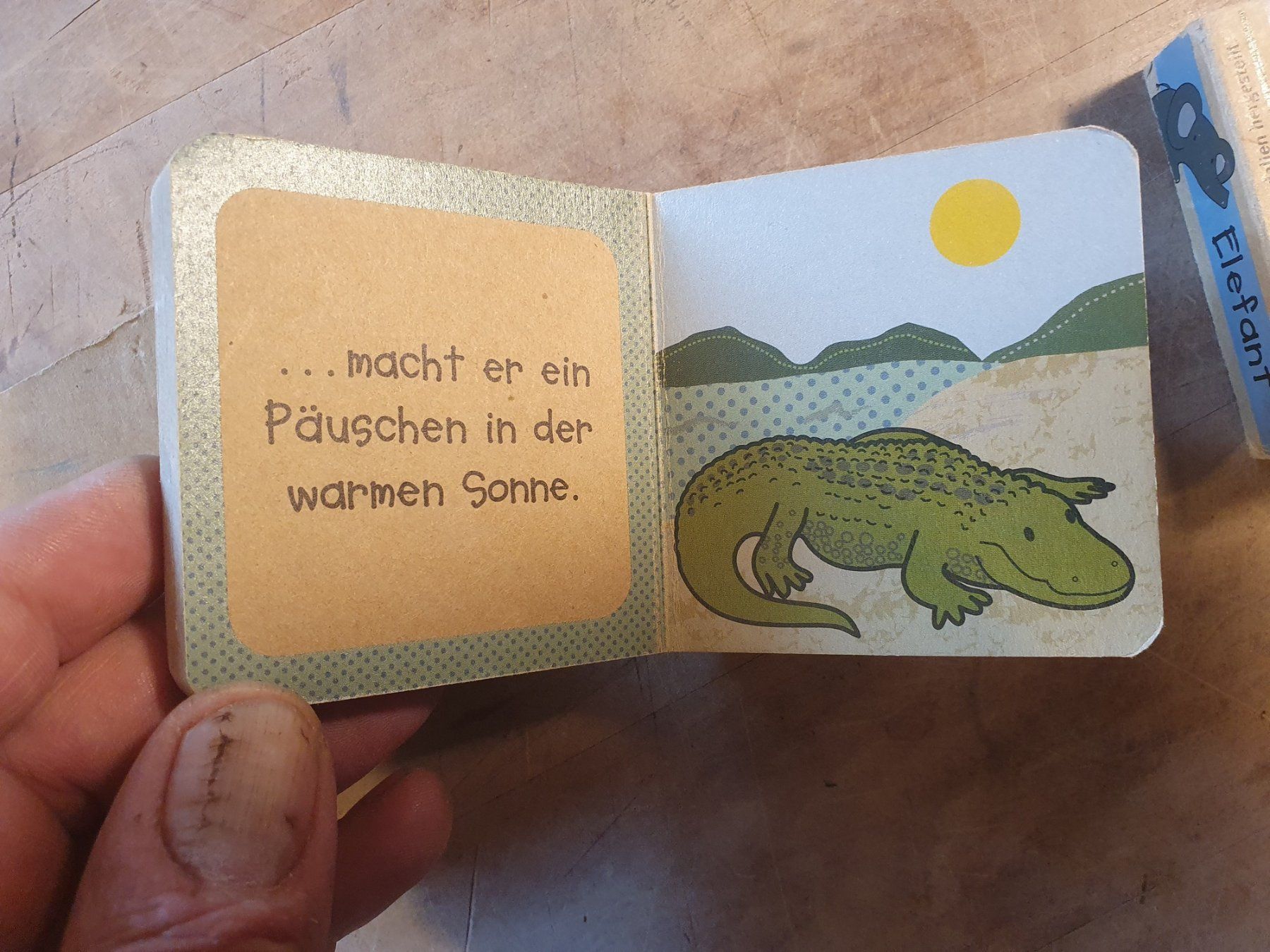 Libri: Konvolut 3 Stk Kinderbücher Tiere – Usato da Zürich venduto da loosebone 2