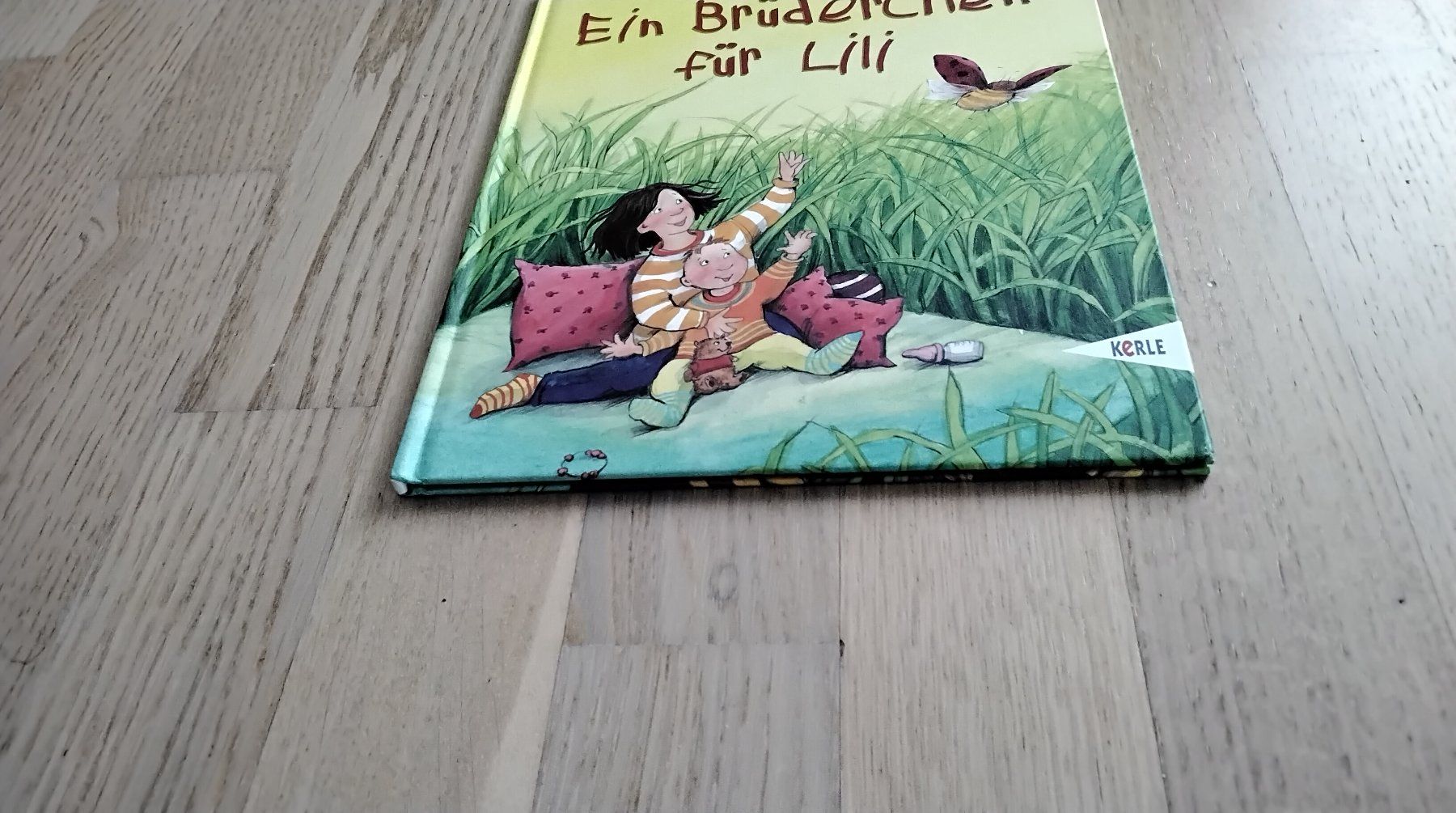 Bücher: Ein Brüderchen für Lili – Gebraucht aus Steinhausen von pinu09 2