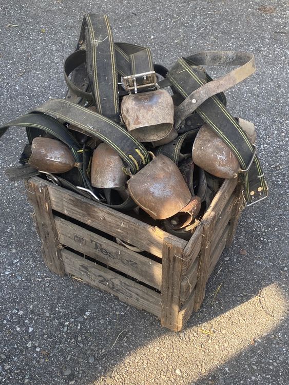 Chaleur : Environnements Extérieurs Et Intérieurs - Parlons Sciences