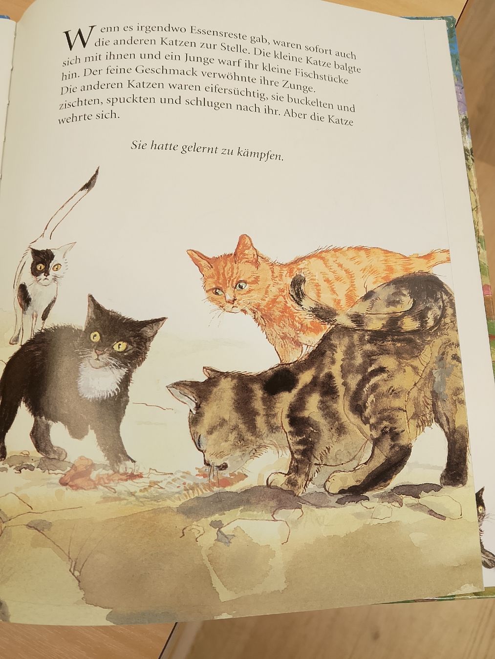 Bücher: Das streunende Kätzchen – Gebraucht aus Volken von katz5 4