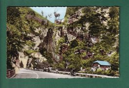 HÖLLENTAL - Hirschsprung