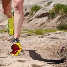 Profile image of Jadoch