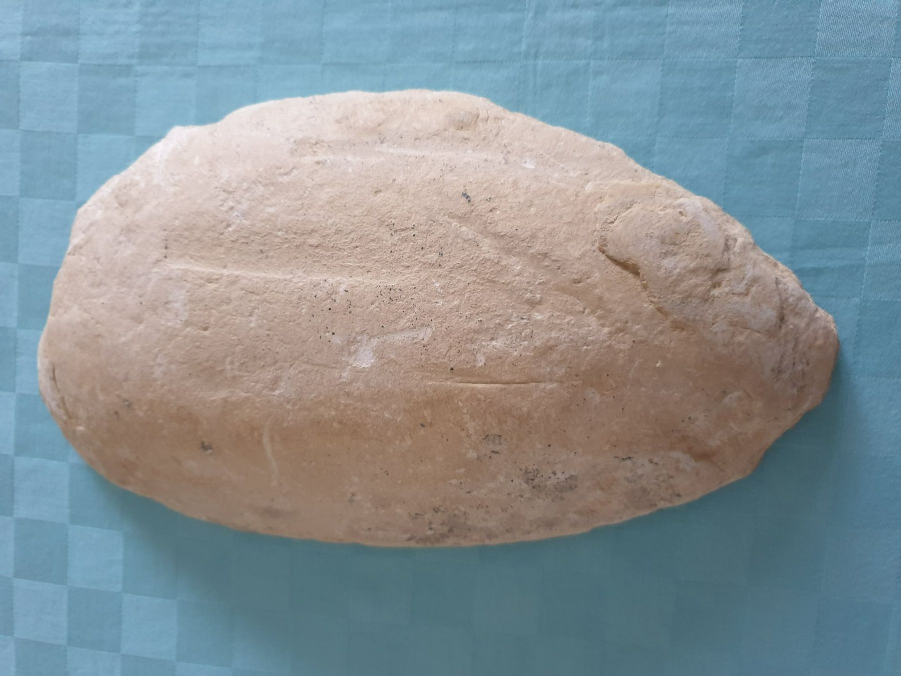 Fossili: versteinerter Fisch zweiteilig – Usato da Mörschwil venduto da spirspi 4