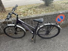 Crosswave Fahrrad, 45cm Rahmen Frühling!