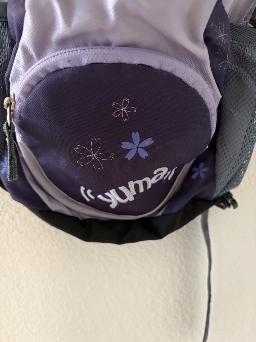 Deuter Borse & Zaini: Deuter Rucksack 37x28 – Usato da HORGEN venduto da paris007 2