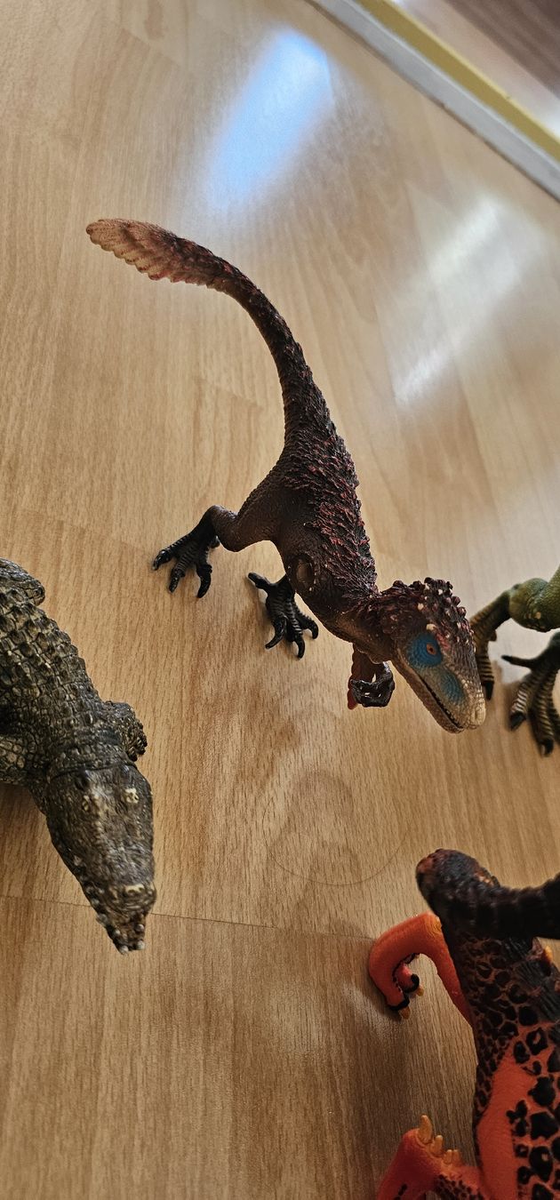 Schleich Giocattoli: Schleich Dinosaurier & Drache Sammlung + Tier-Set gratis – Usato da Beckenried venduto da san_27bd 2