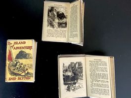 Kinderbuch (E. Blyton,The Island of Adventure) f/Puppenstube