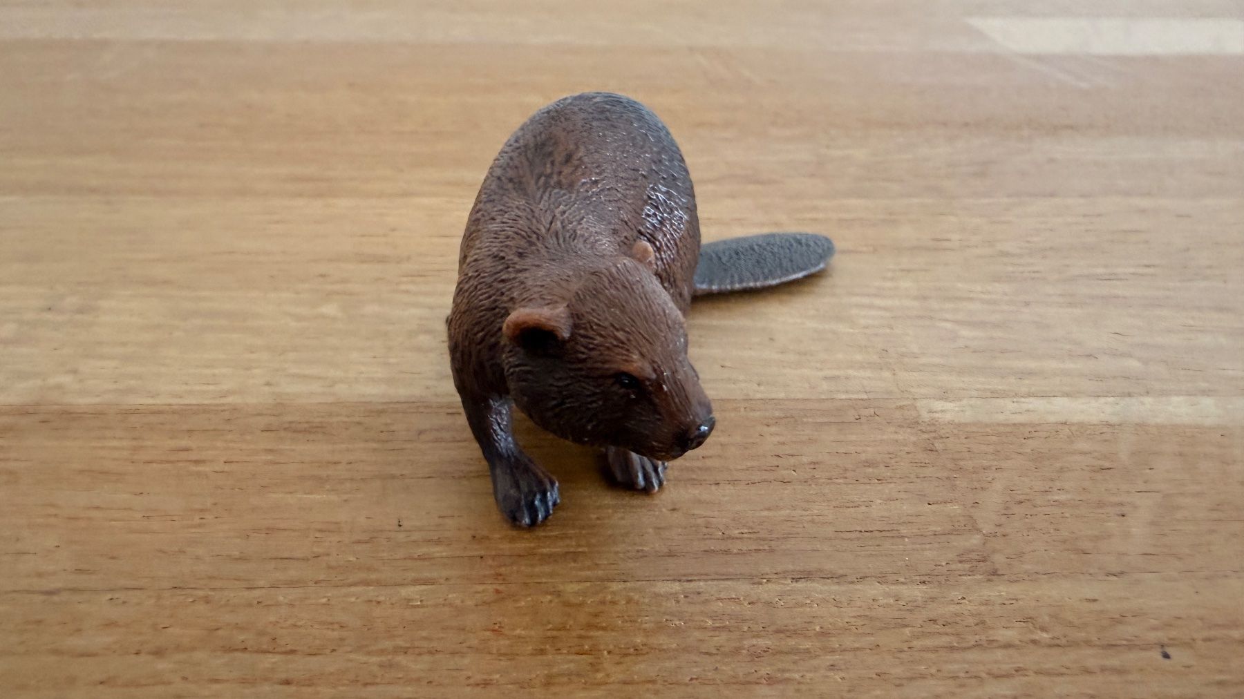 Schleich Giocattoli: SCHLEICH - Biber 14693 – Usato da Winterthur venduto da Secondhand-Family 1