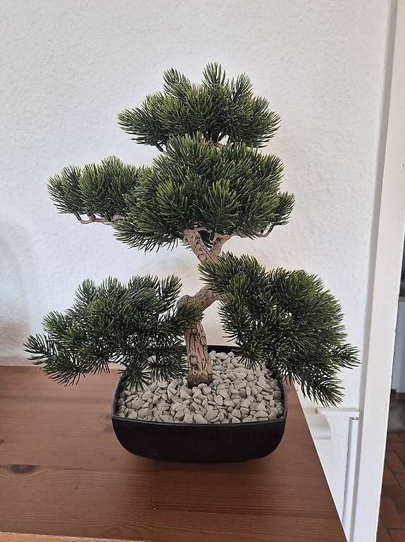 Tutte le decorazioni: Plastik-Bonsai – Usato da Zürich venduto da pompiersmartin 2