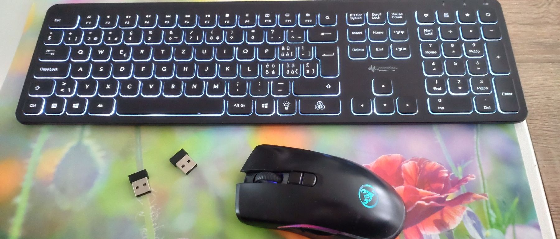 Tastiere: Tastatur und Maus – Usato da Bremgarten AG venduto da irmscherastraH 2