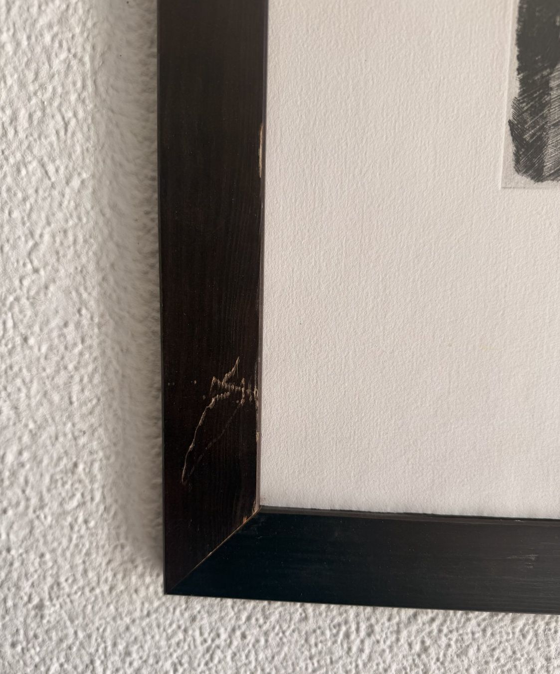 Foto & Immagini: A. Müller – Nr. 7/25 – Usato da Zürich venduto da Enoooo 2