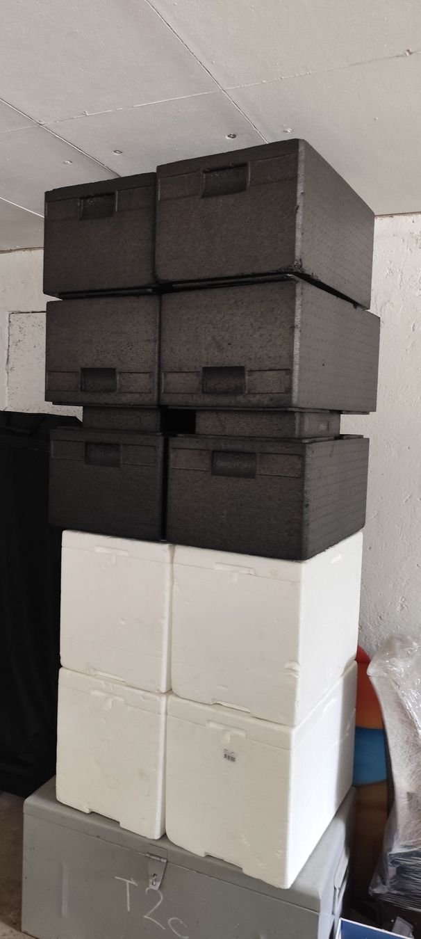 Frigoriferi & Refrigeratori: 10 Kühlboxen - Thermobox – Usato da Thun venduto da Douche