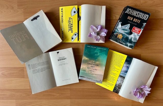 Bücher: Cilla & Rolf Börjlind, Stefan Ahnhem, Ingar Johnsrud, Robert – Gebraucht aus Bern von Denzel8 8