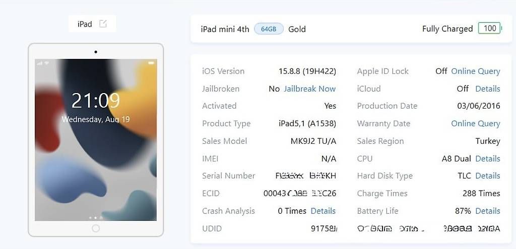 Apple Tablet PC: iPad mini 4 (64GB) – Usato da Effretikon venduto da Gettrix 3