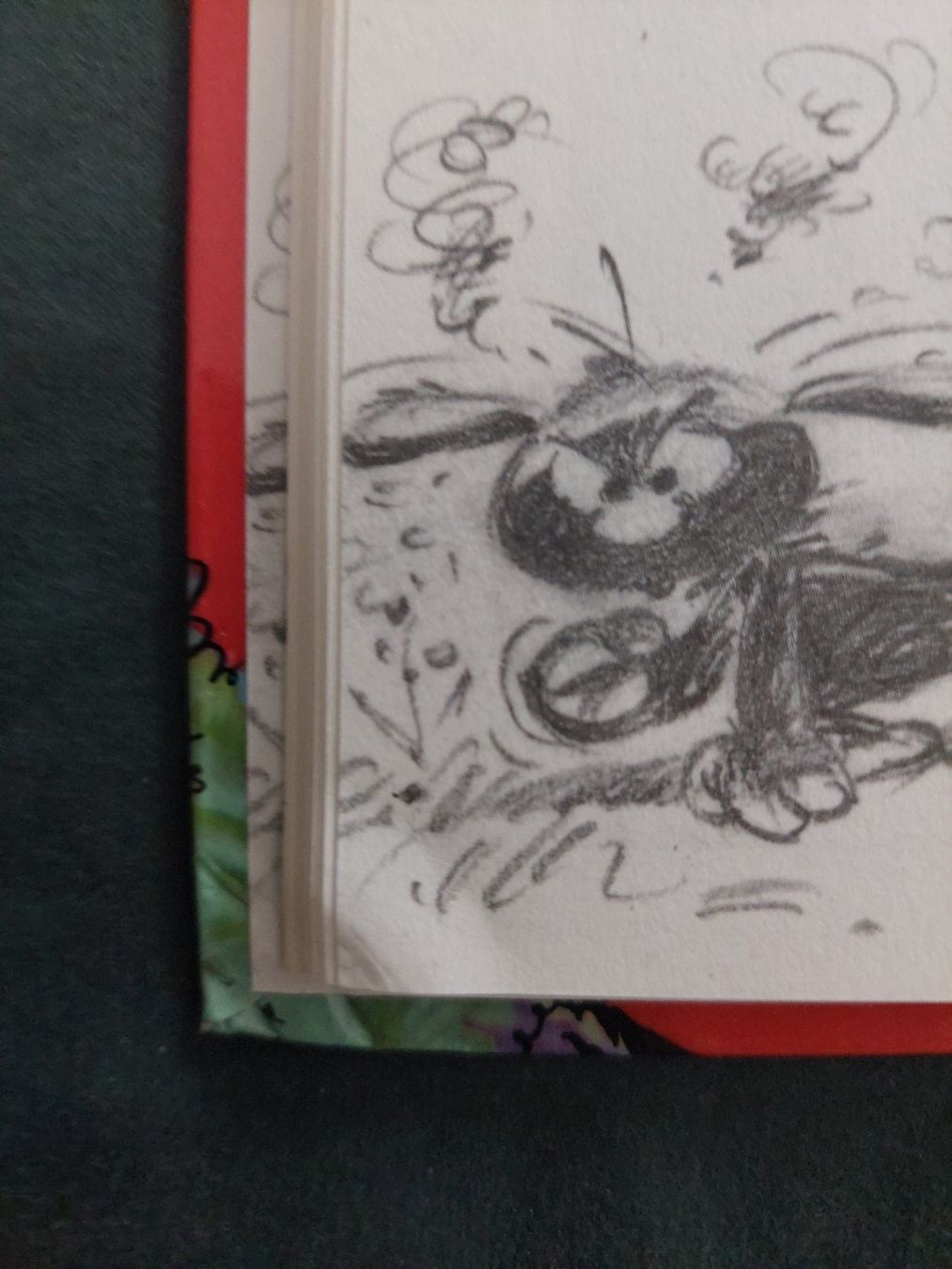 Fumetti: Marsupilami T.3 Mars le Noir EO 1989 BE+ – Usato da Genève venduto da Blu_BD 3