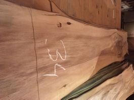 Europäischer Nussbaum Furnier Bund 34