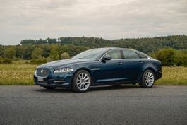 Jaguar XJ L 5.0 V8 Portfolio ab MFK & Service 2026