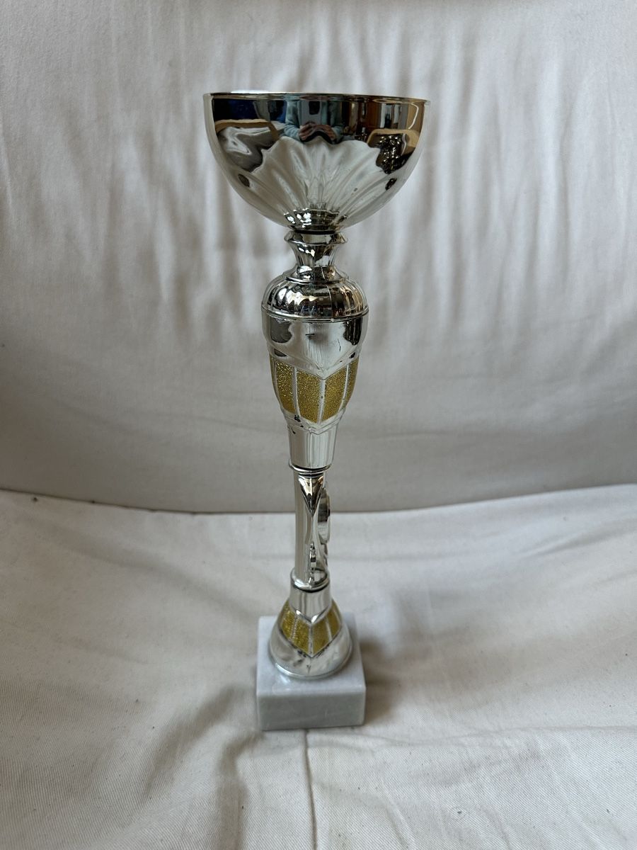 Altre raccolte & rarità: Silberner Pokal – Usato da Basel venduto da ari_f26x 3