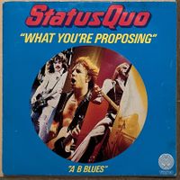 STATUS QUO - WHAT YOU'RE PROPOSING