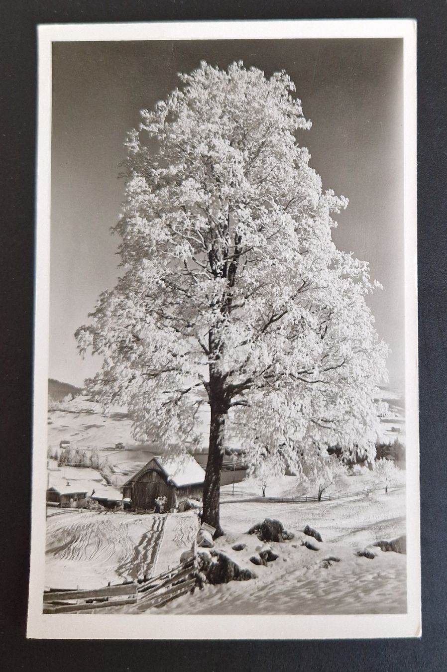 Cartoline postali: Wintermotiv, Oberiberg – Usato da Ebikon venduto da Donar50
