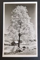 Wintermotiv, Oberiberg