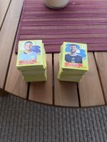 Panini