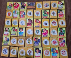 338 Panini Sticker WM 2026