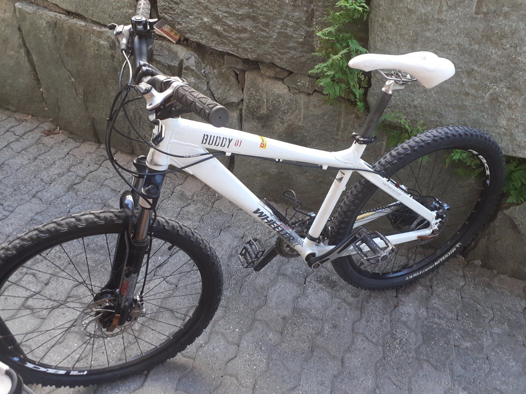 Wheeler Biciclette: MTB Wheeler Buddy 01 – Usato da Cazis venduto da Lucio05 3