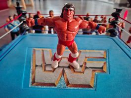 WWF Hasbro Texas Tornado Serie 3 Vintage Figure