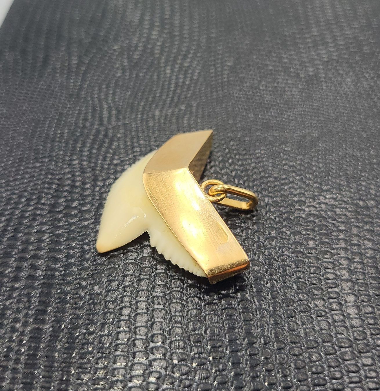 Anhänger: Gold 585 Haizahn Anhänger – Gebraucht aus Wald ZH von Dasilver 5