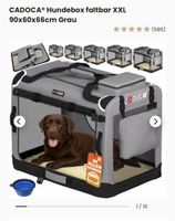 Cuccia per cani