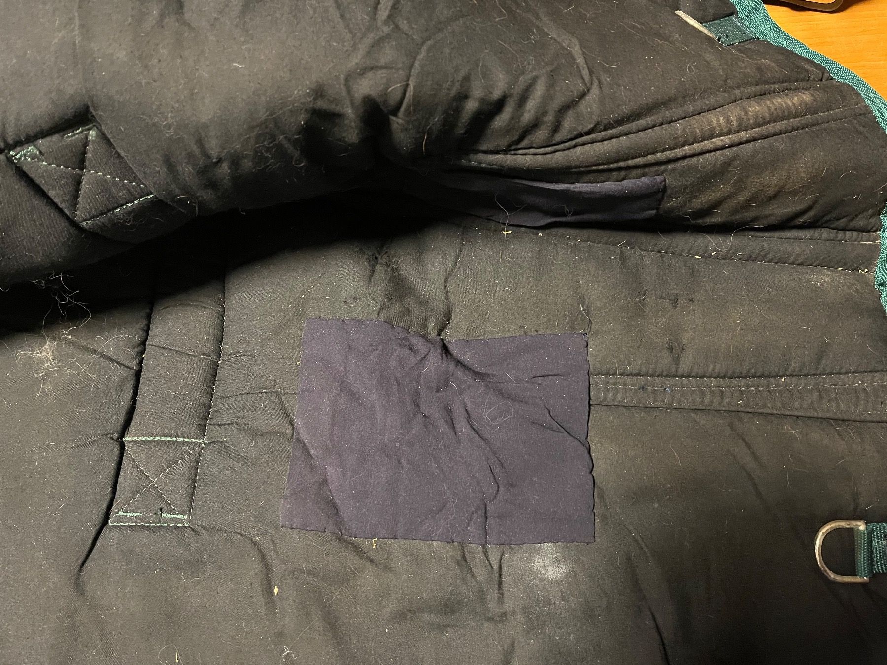 Coperte: Fohlendecke blau – Usato da Oppligen venduto da chicca25 3