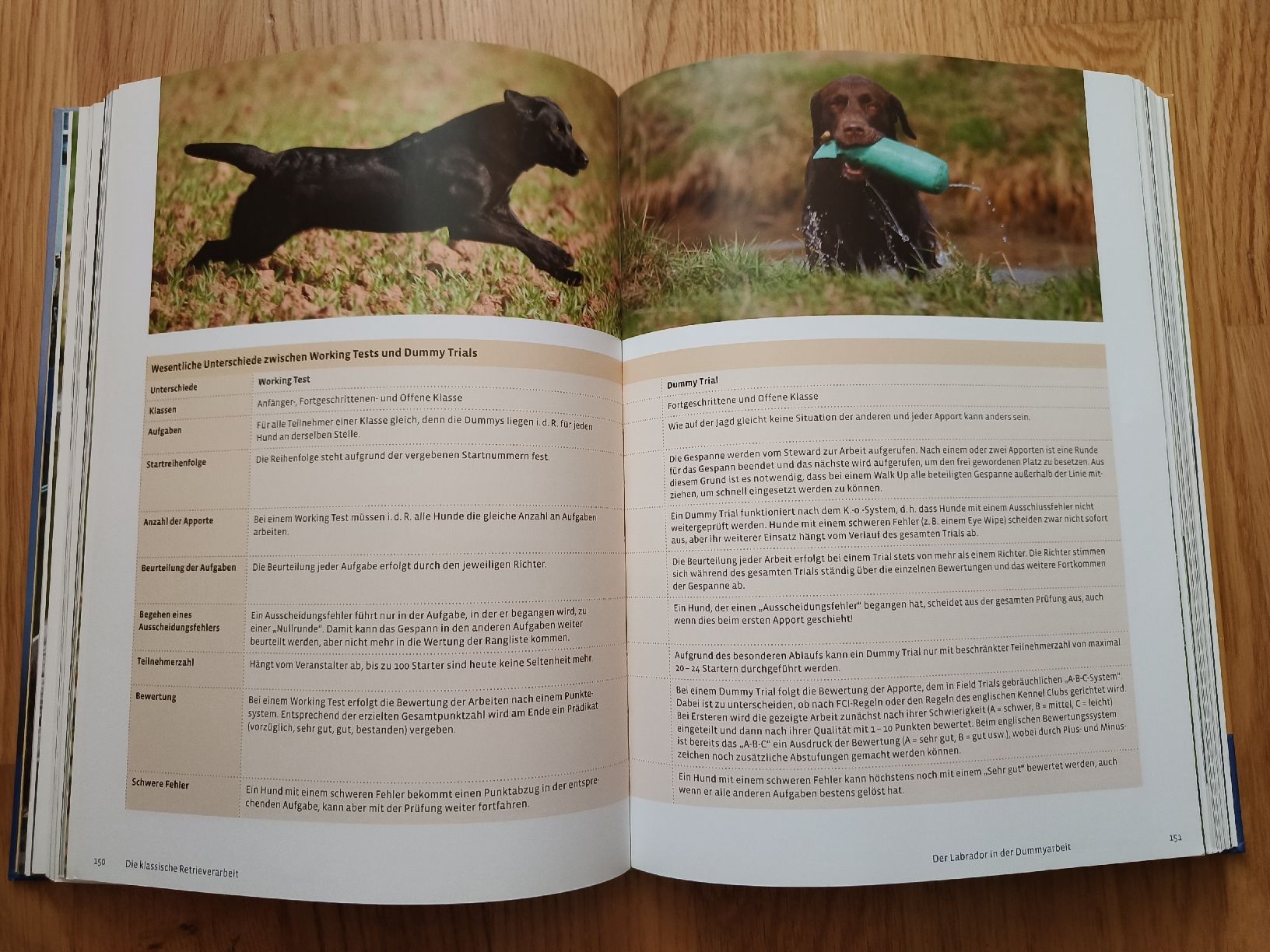 Libri: Kosmos Buch, Labrador/ Retriever – Usato da Dietlikon venduto da Dietlikon_Verkauf 2