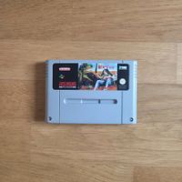 Dino City Super Nintendo SNES Irem Corporation