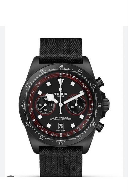 Orologi: Tudo Pelagos "cycling edition" – Usato da Rheinfelden venduto da Na.ndez