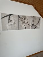 Triptychon Apfelblüte