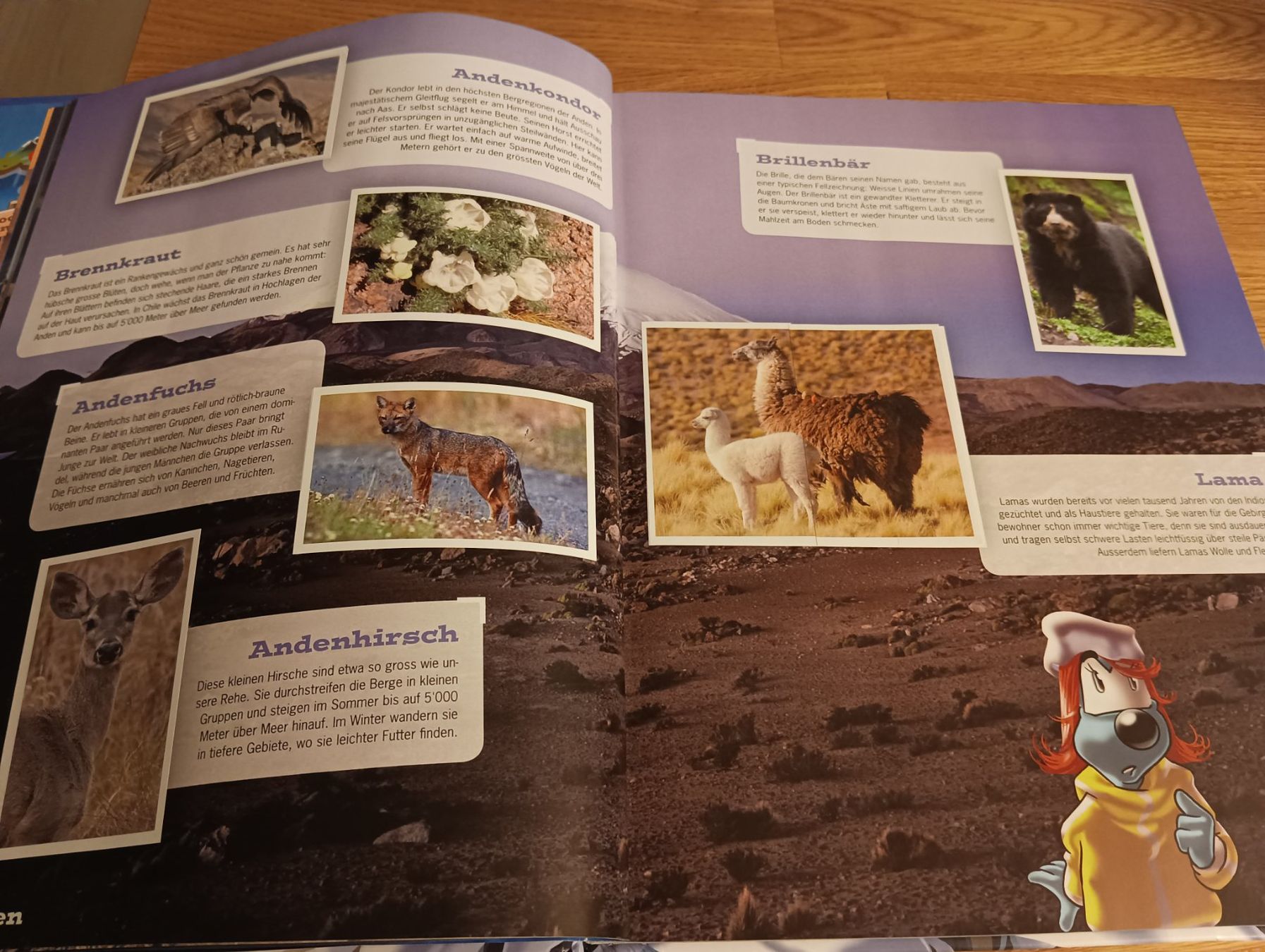 WWF Albums: Buch Mountain Mania – D'occasion à Schöfflisdorf par kin_2dp9 2