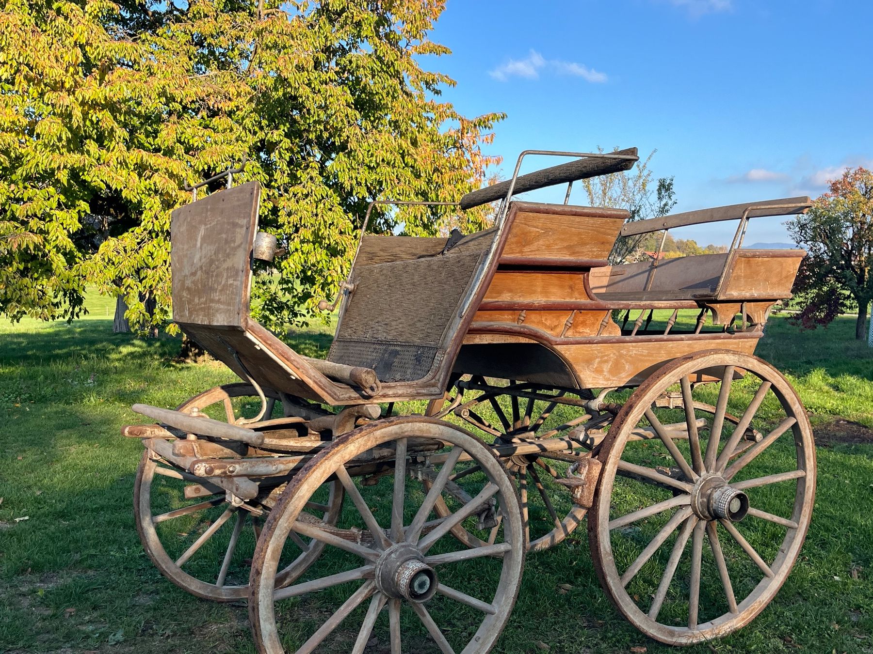 Calèches: Pferdekutsche / Break – D'occasion à Allmendingen b. BE par juair 4