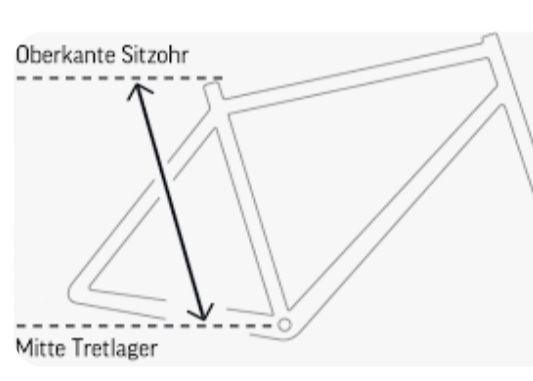 Specialized Velos: Spezialized Stumpjumper Vintage – Gebraucht aus Surcuolm von  5