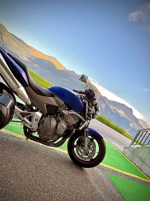 Strada: Honda Hornet cb600f – Usato da sils.i.D venduto da Spyderrider