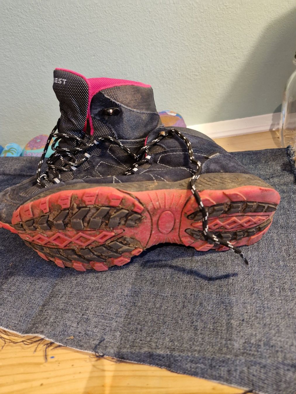 Everest Herrenschuhe: Everest Wanderschuhe, Grösse 35 – Gebraucht aus Boniswil von Cfischer0 1