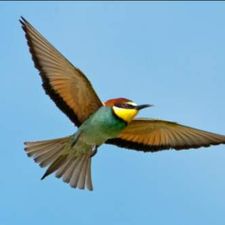 Profile image of funtofly