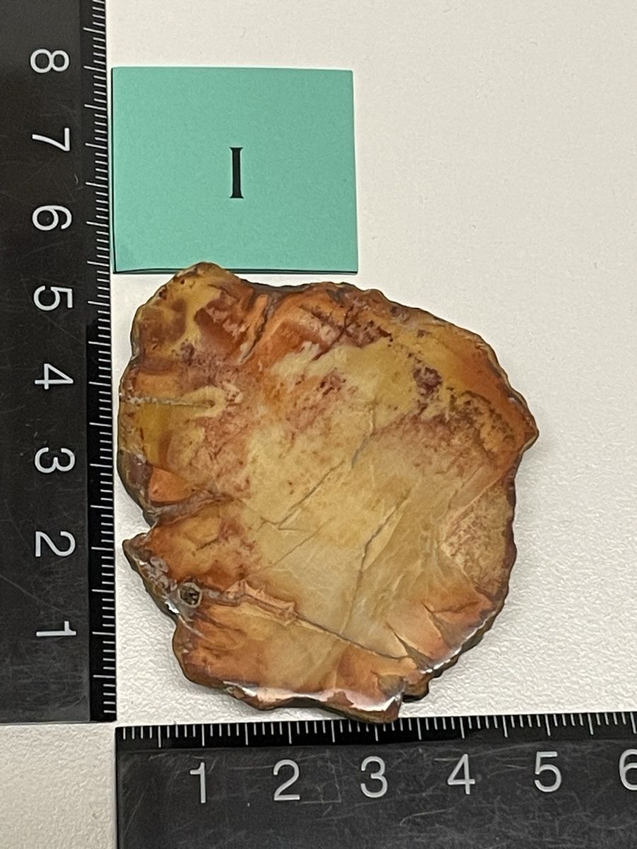 Minerali & Pietre curative: Heilstein versteinertes Holz – Usato da Rümlang venduto da euqinom16